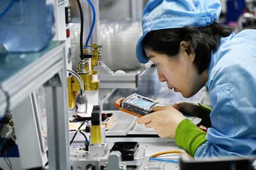 经济大省率先发力 以技术咨询为引擎，推动大规模设备更新与消费品以旧换新